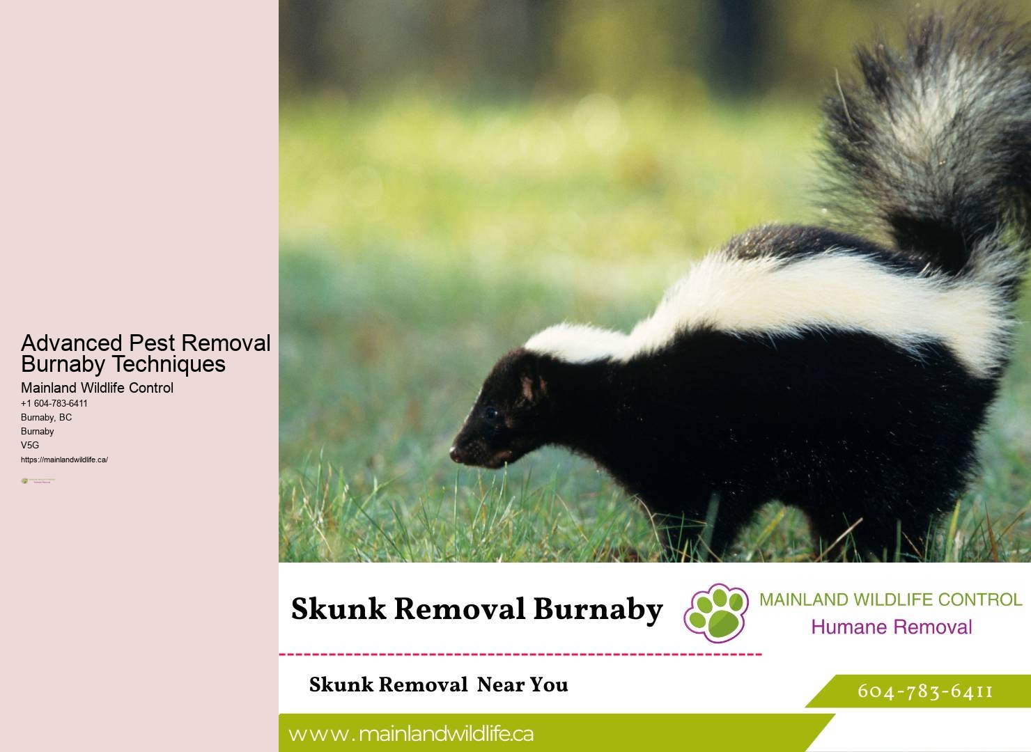 Affordable Commercial Pest Control Services Burnaby