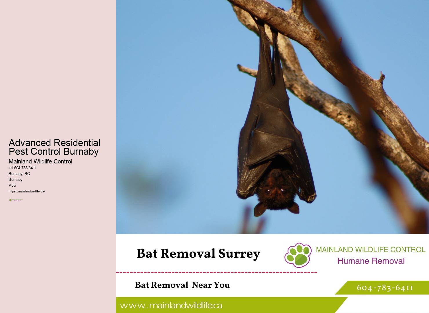 Earth-friendly Pest Control Burnaby