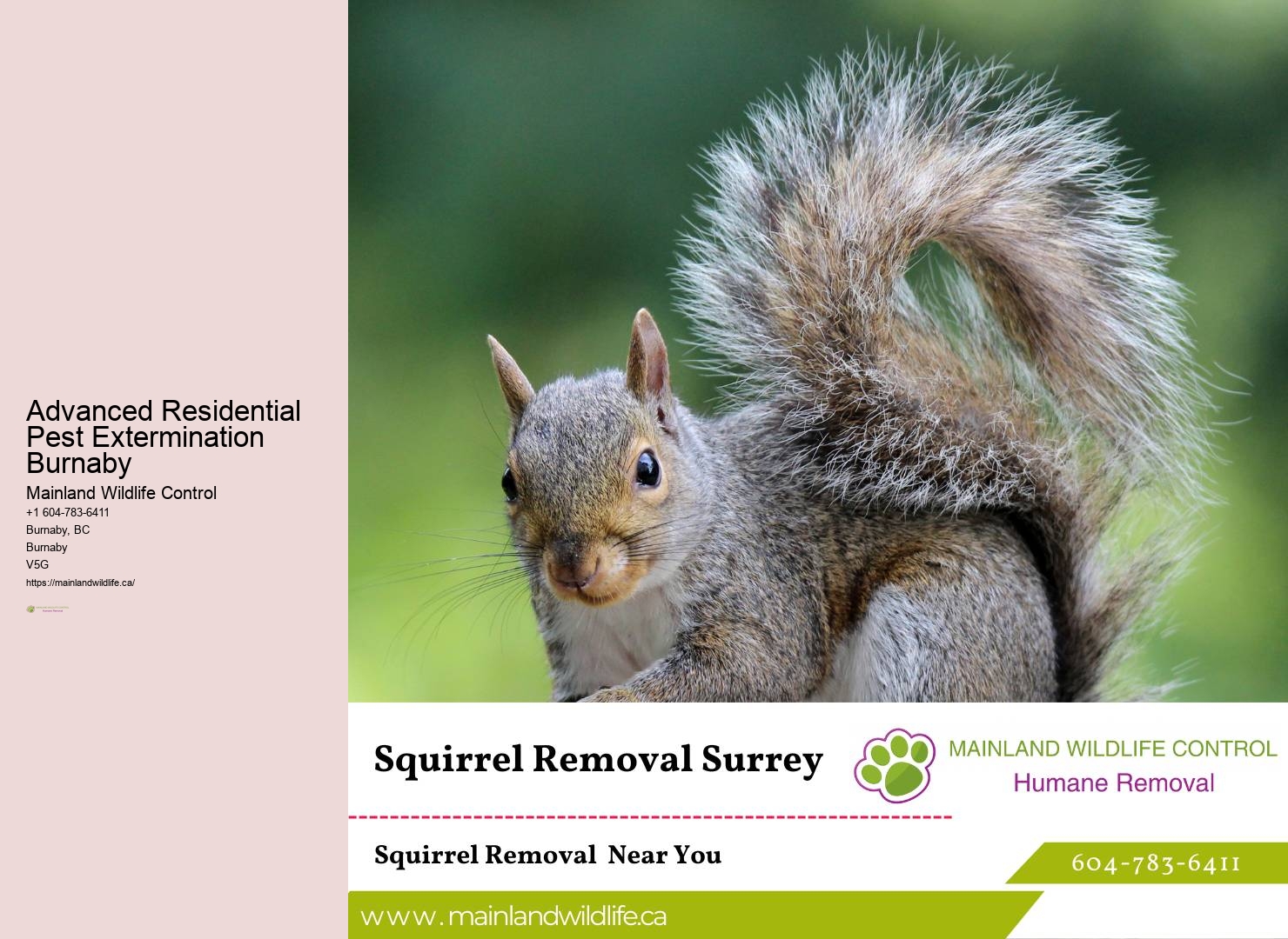 Environmentally Friendly Pest Control Burnaby