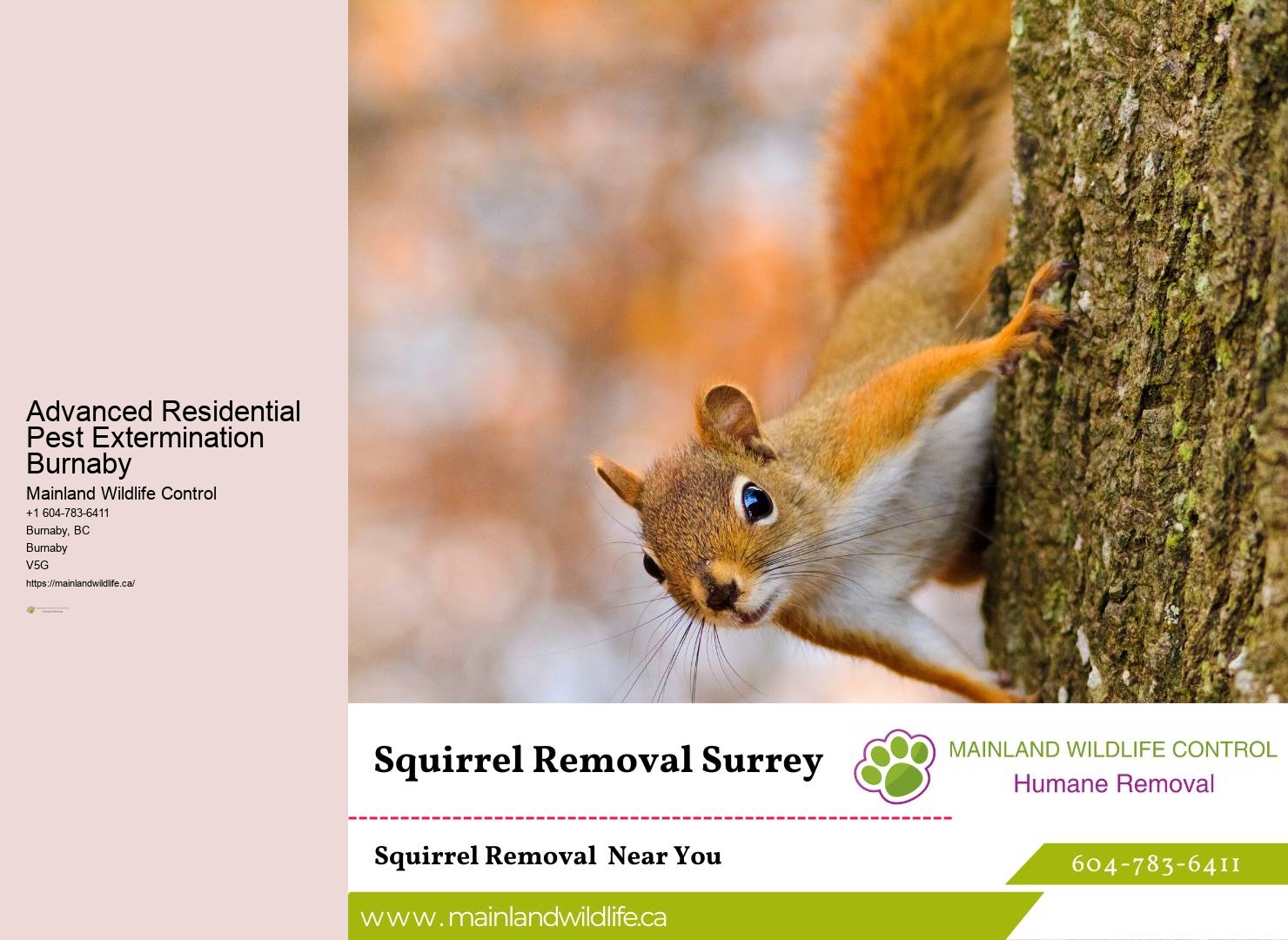 Free Pest Control Quotes Burnaby