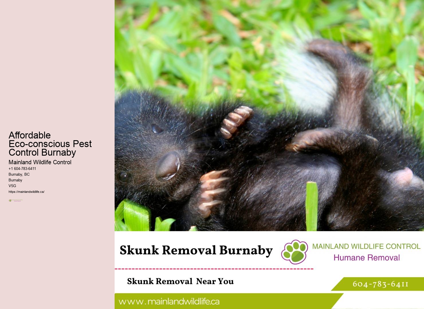 Emergency Pest Control Assistance Burnaby