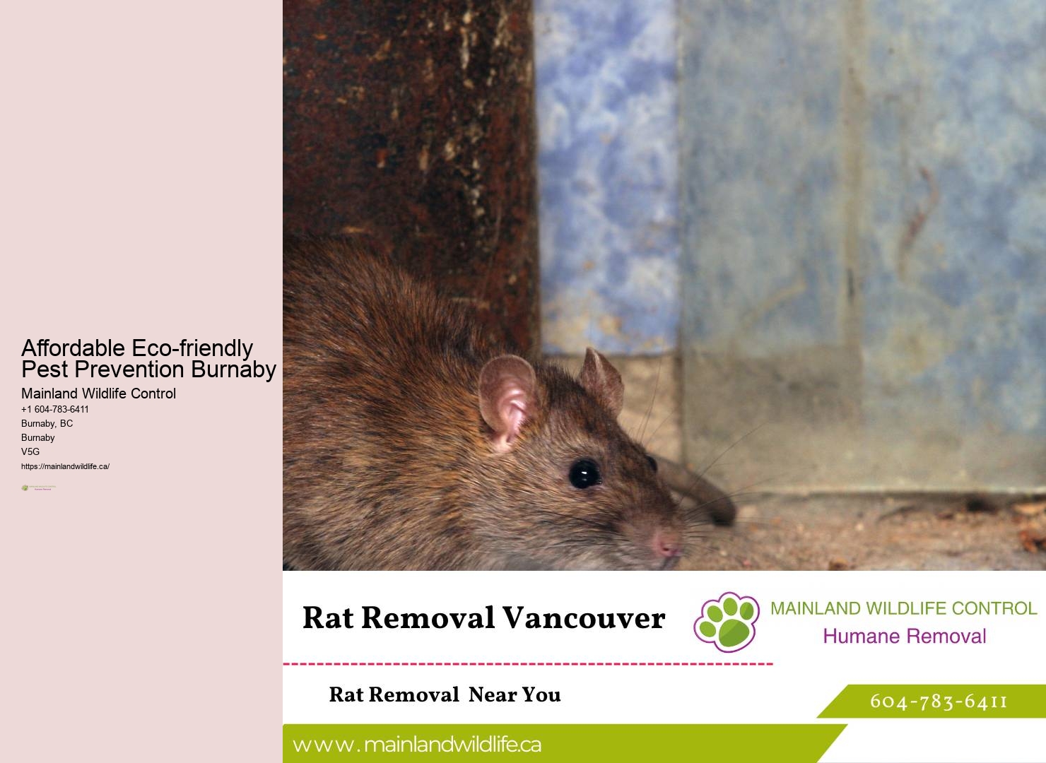 Trusted Eco-conscious Pest Control Solutions Burnaby