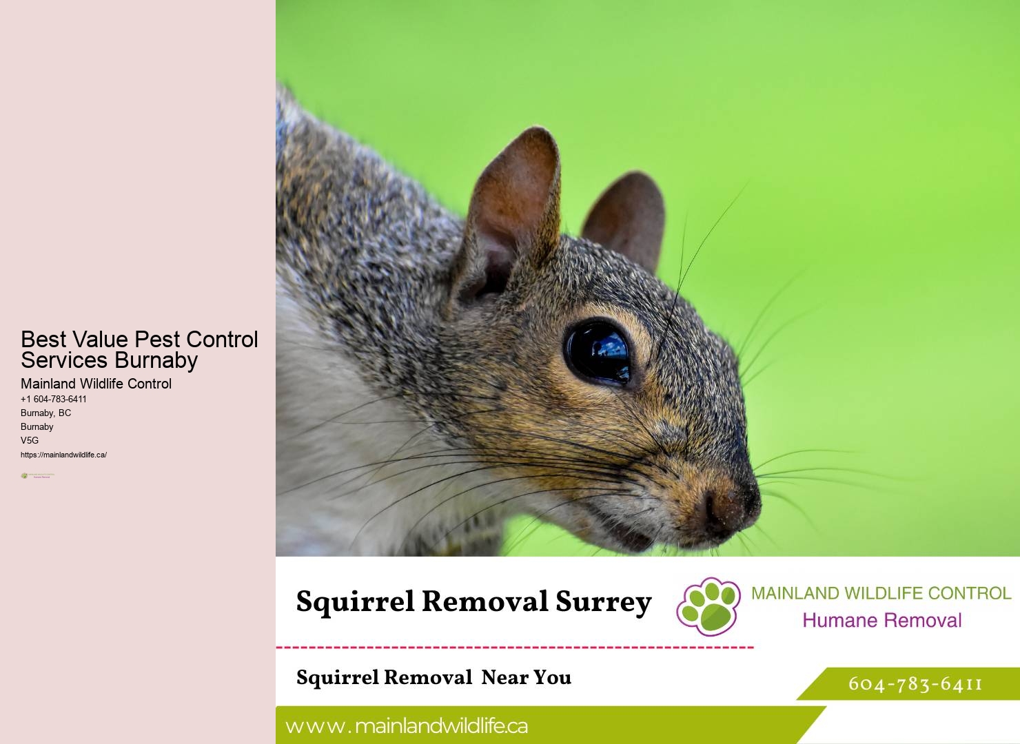 Burnaby insect control