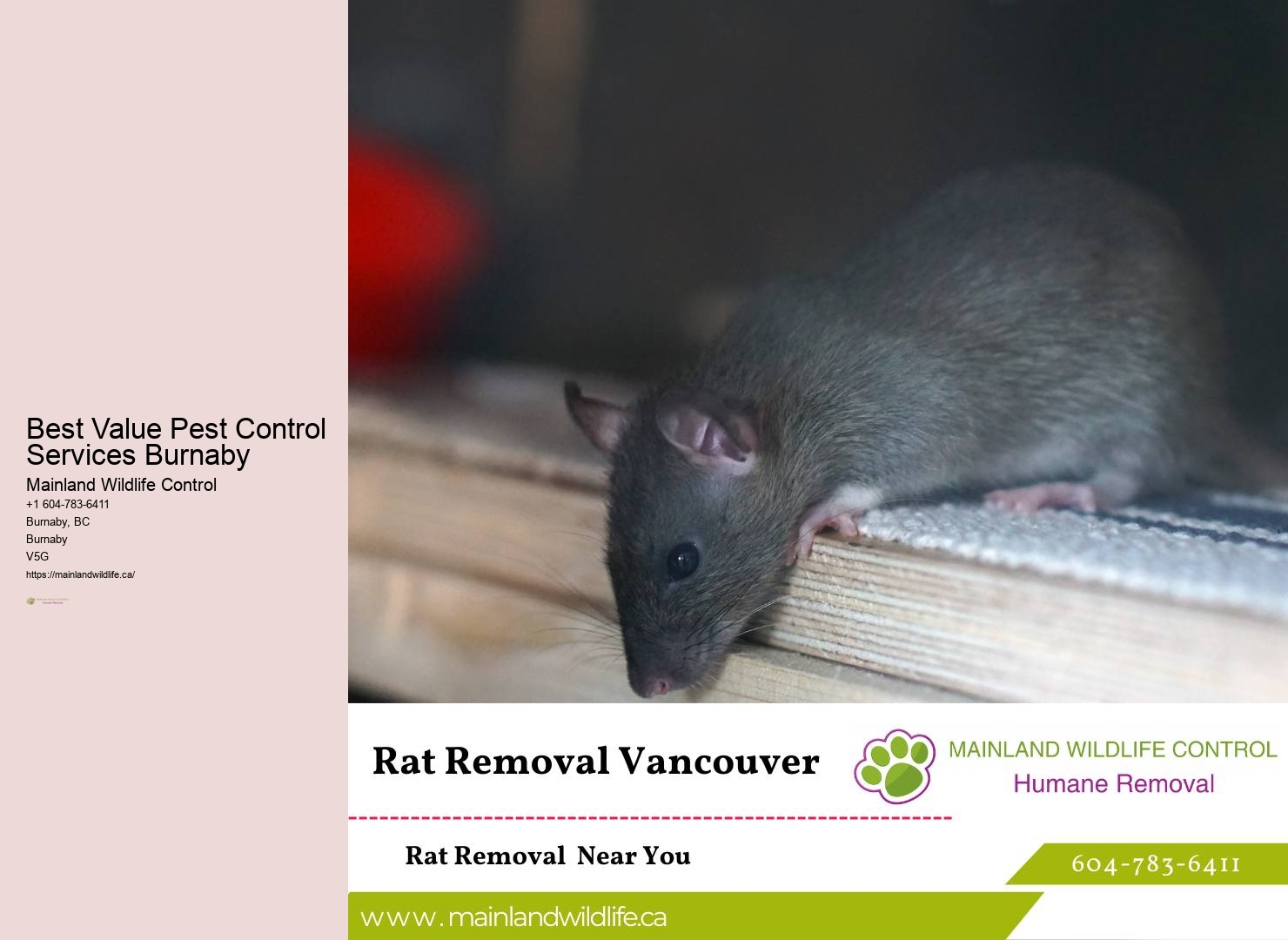 Holistic Pest Control Approaches Burnaby