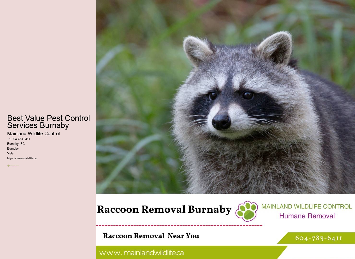 Burnaby Pest Control