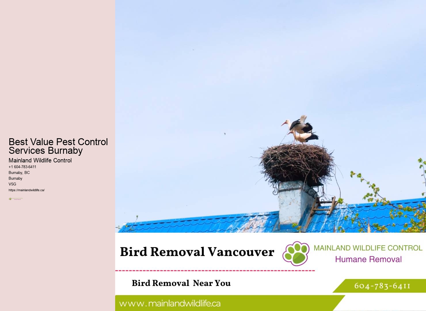 Dependable Pest Control Burnaby Services