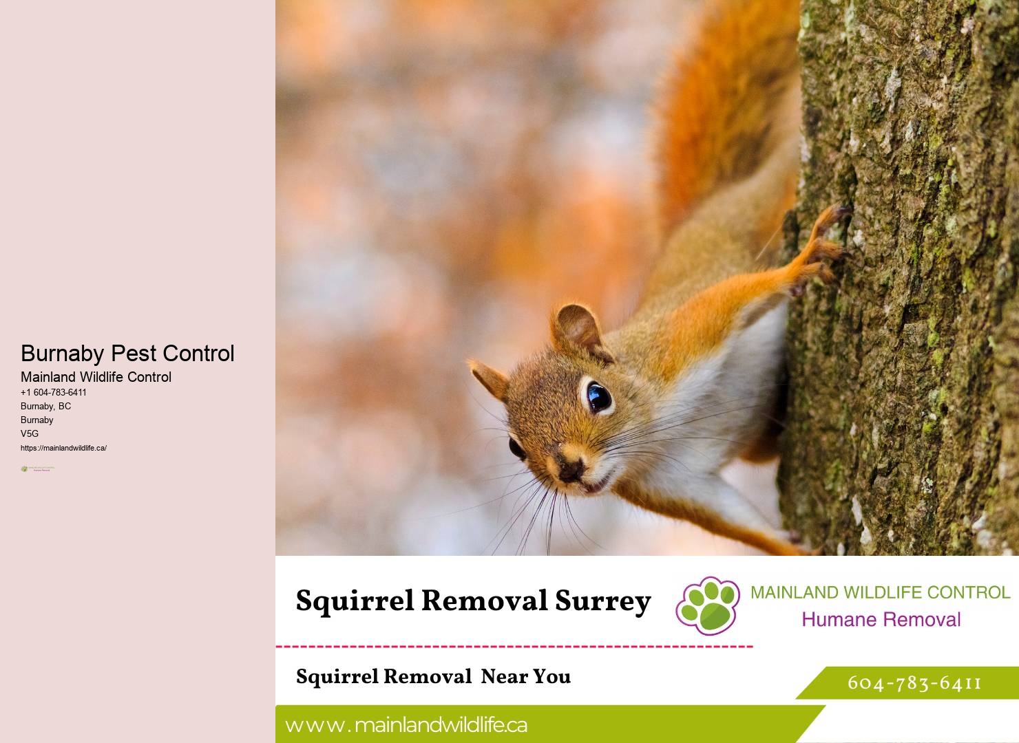Locally-operated Pest Control Business Burnaby
