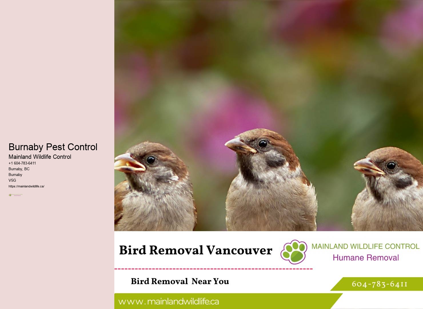 Digital Pest Control Solutions Burnaby