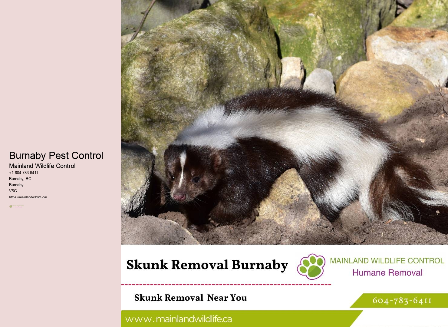 Certified Pest Extermination Burnaby Company