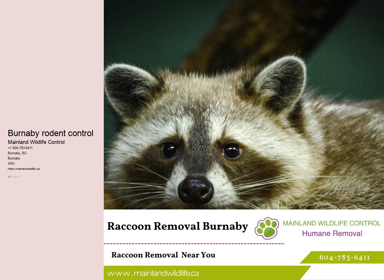Proven Pest Removal Burnaby Techniques