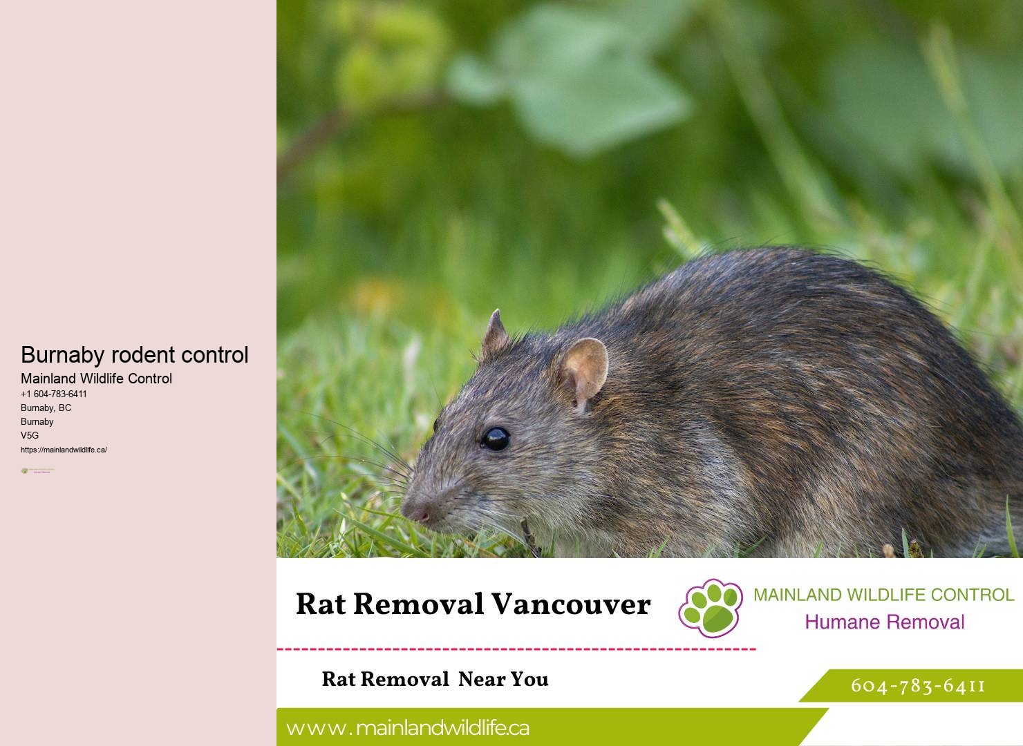 Immediate Pest Control Services Burnaby
