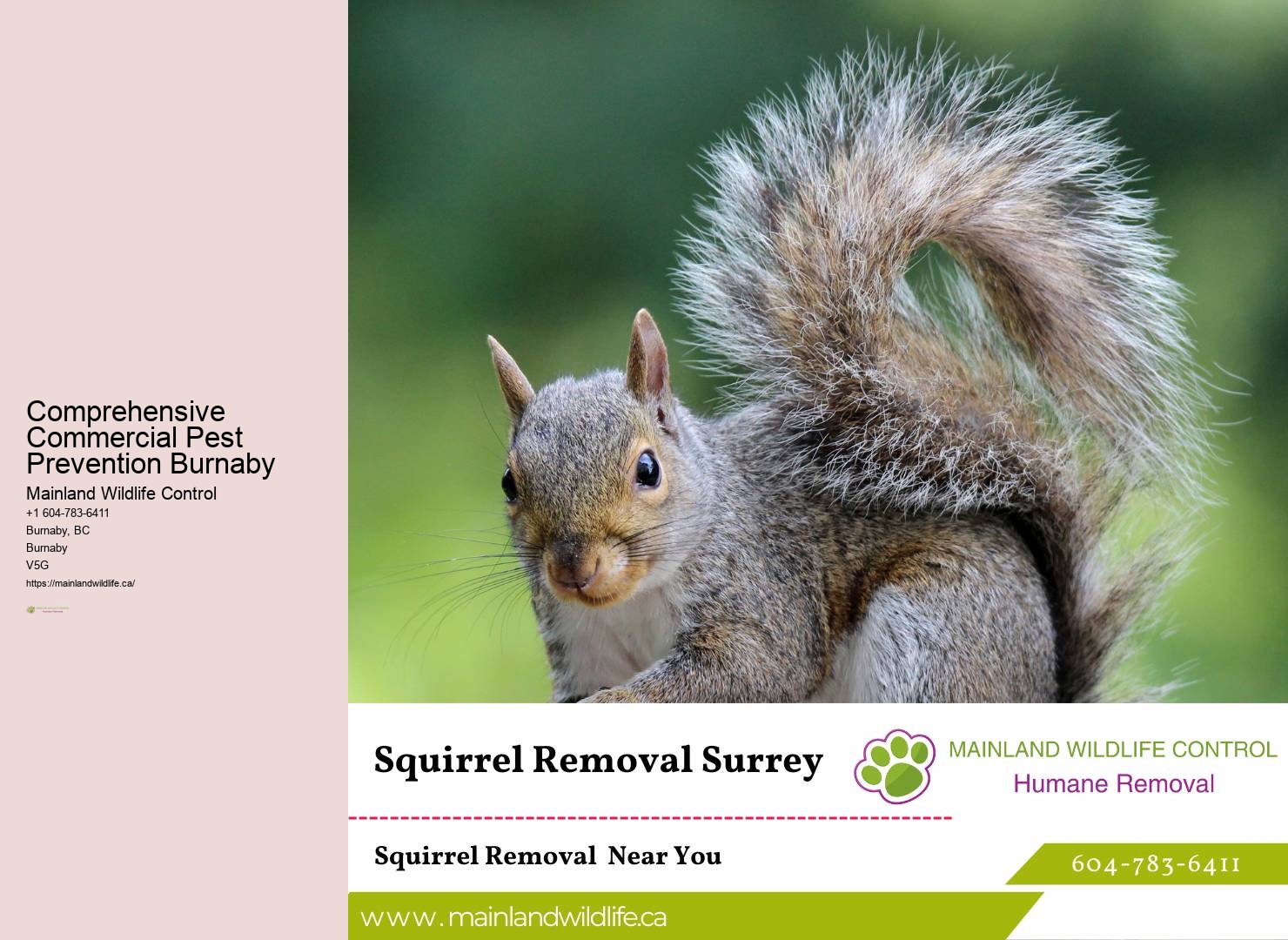 Advanced Eco-conscious Pest Removal Burnaby