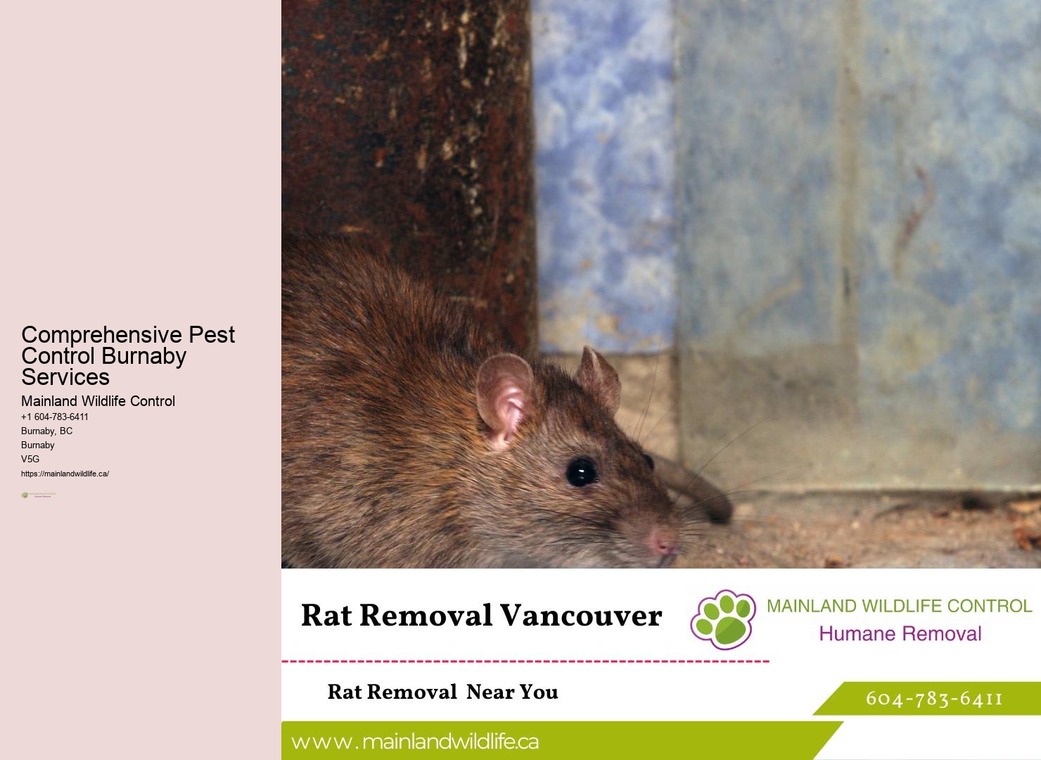 Commercial Pest Control Solutions Burnaby