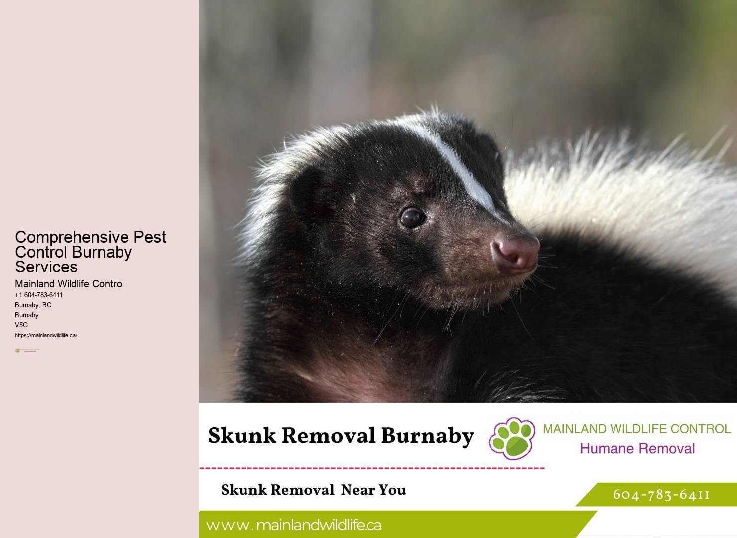 Comprehensive Residential Pest Removal Burnaby