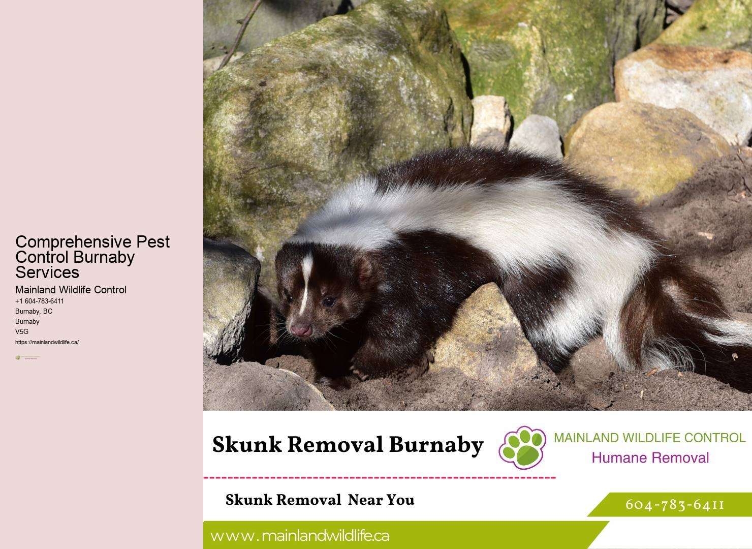 Professional Commercial Pest Prevention Services Burnaby
