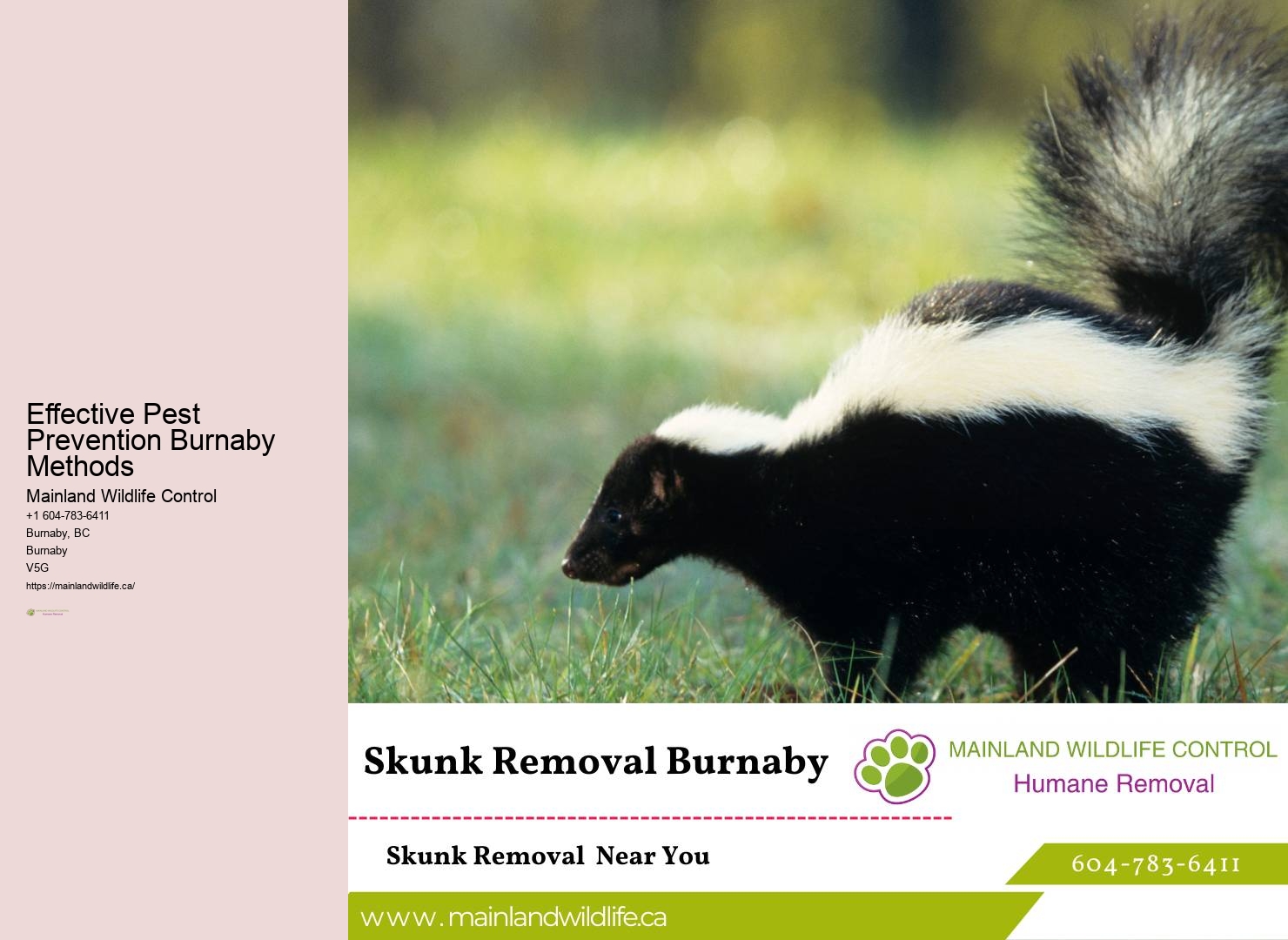 Quick Pest Control Burnaby