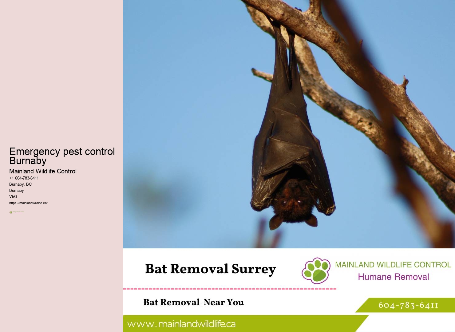 Mosquito Control Burnaby