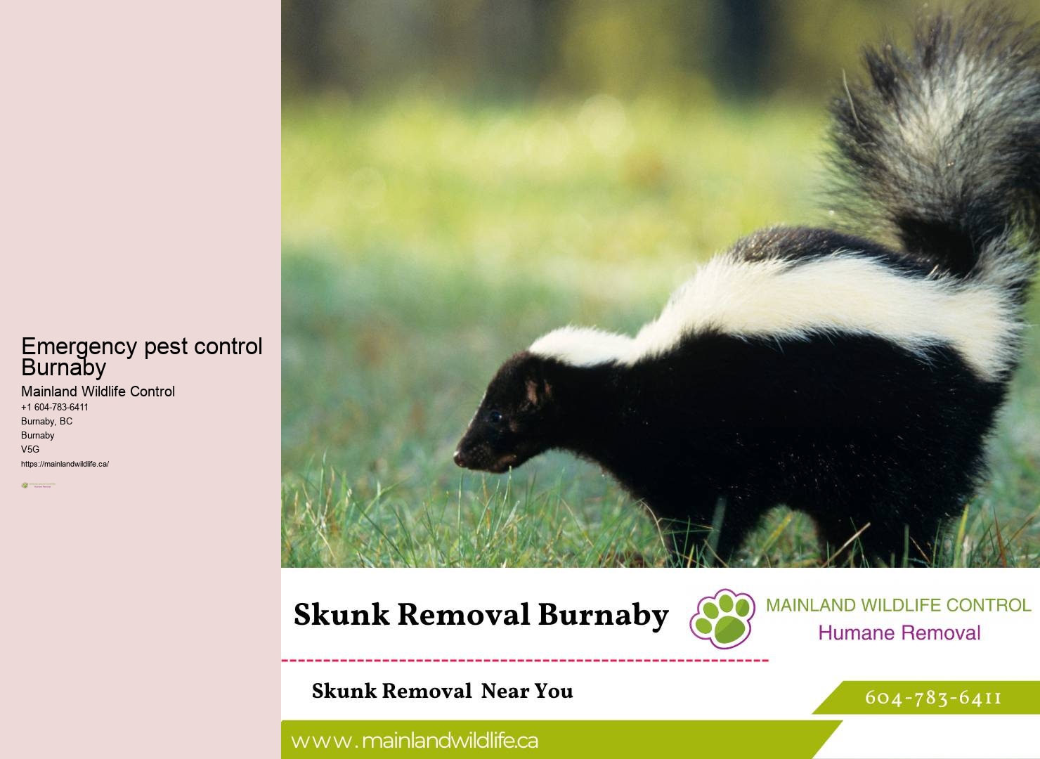 Pest Control Burnaby Bc