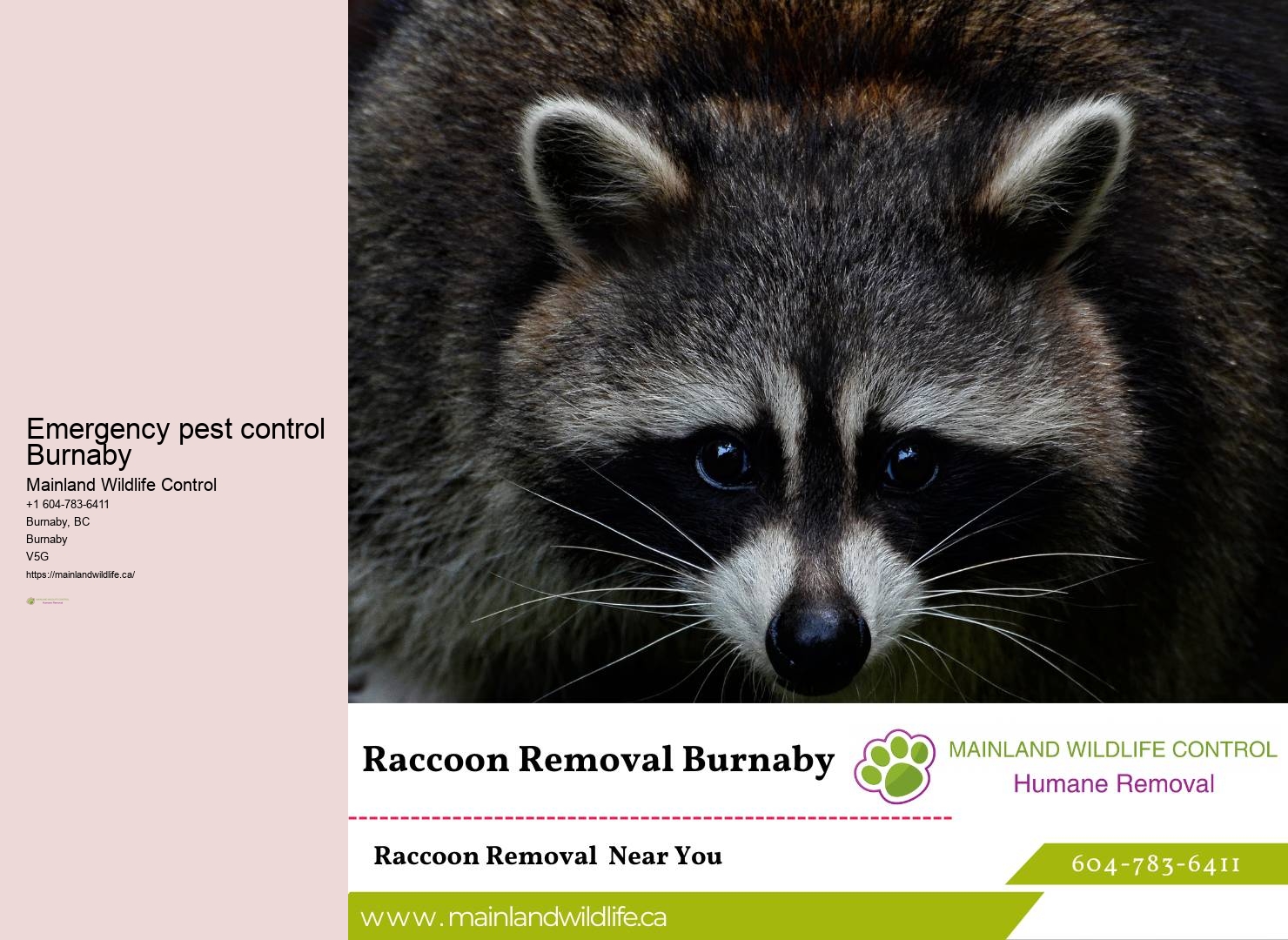 Reliable Residential Pest Prevention Burnaby