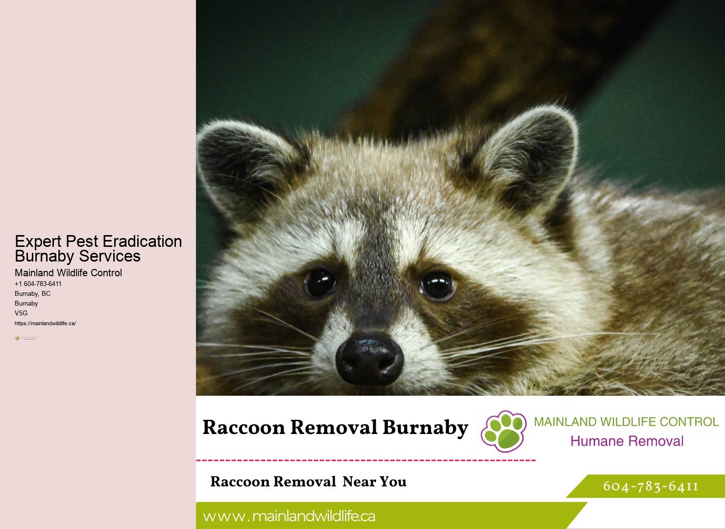 Pest Control Cost Estimate Burnaby
