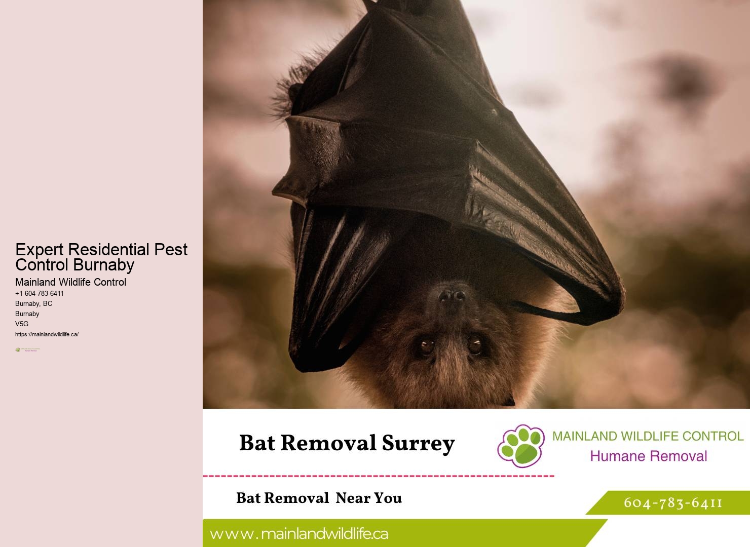 Advanced Pest Control Techniques Burnaby