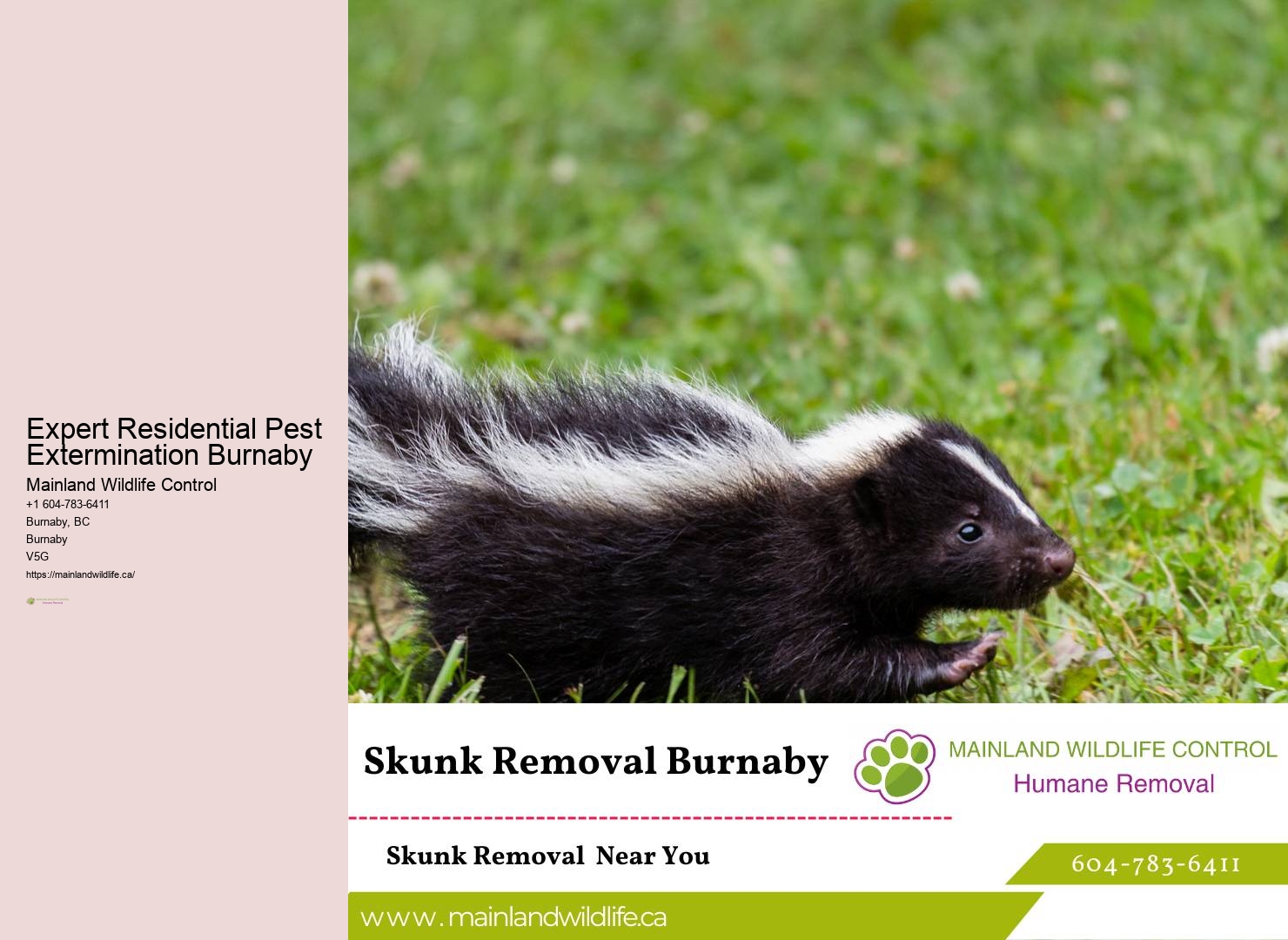 Custom Pest Control Plans Burnaby