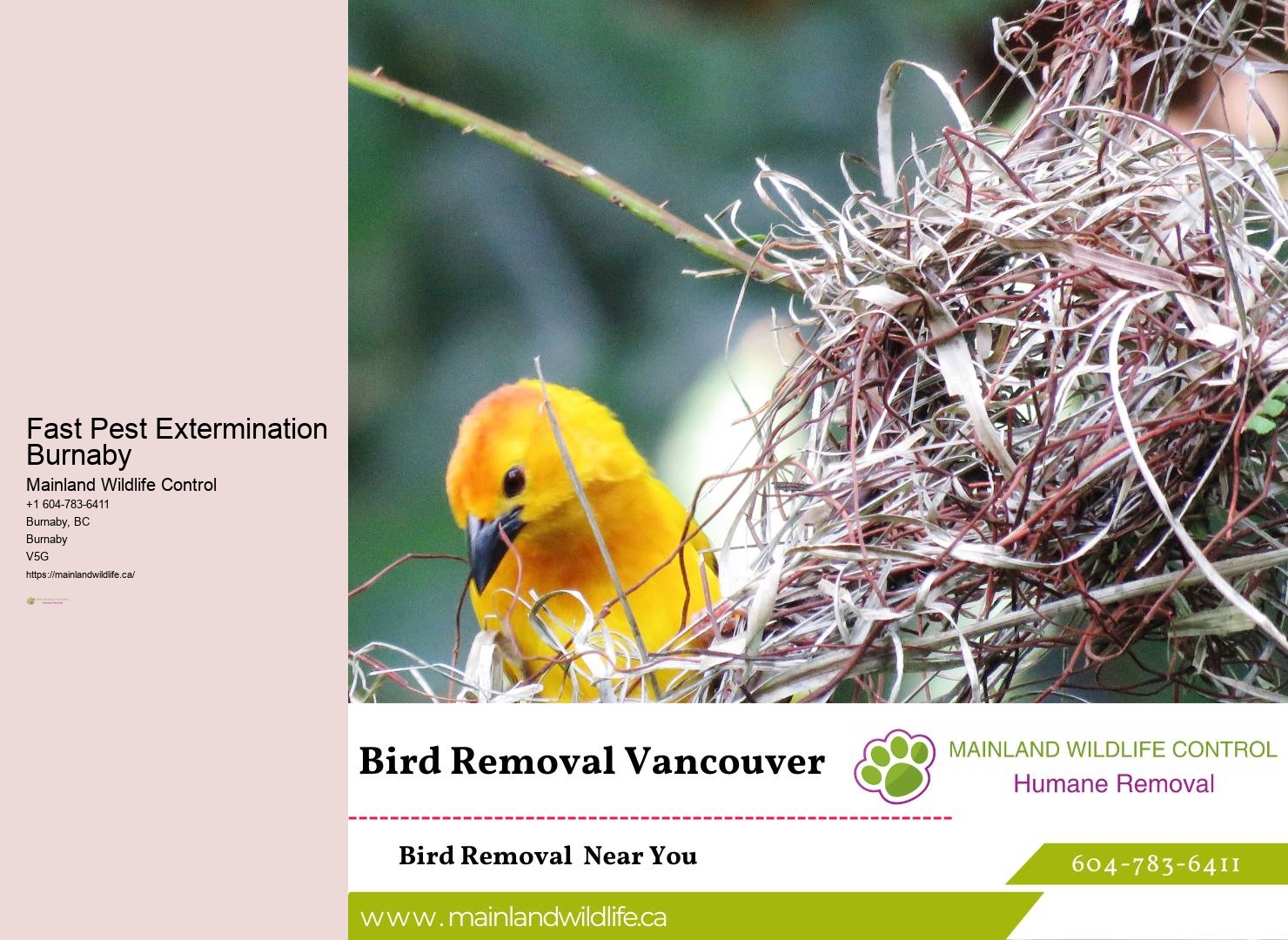 Monthly Pest Control Burnaby