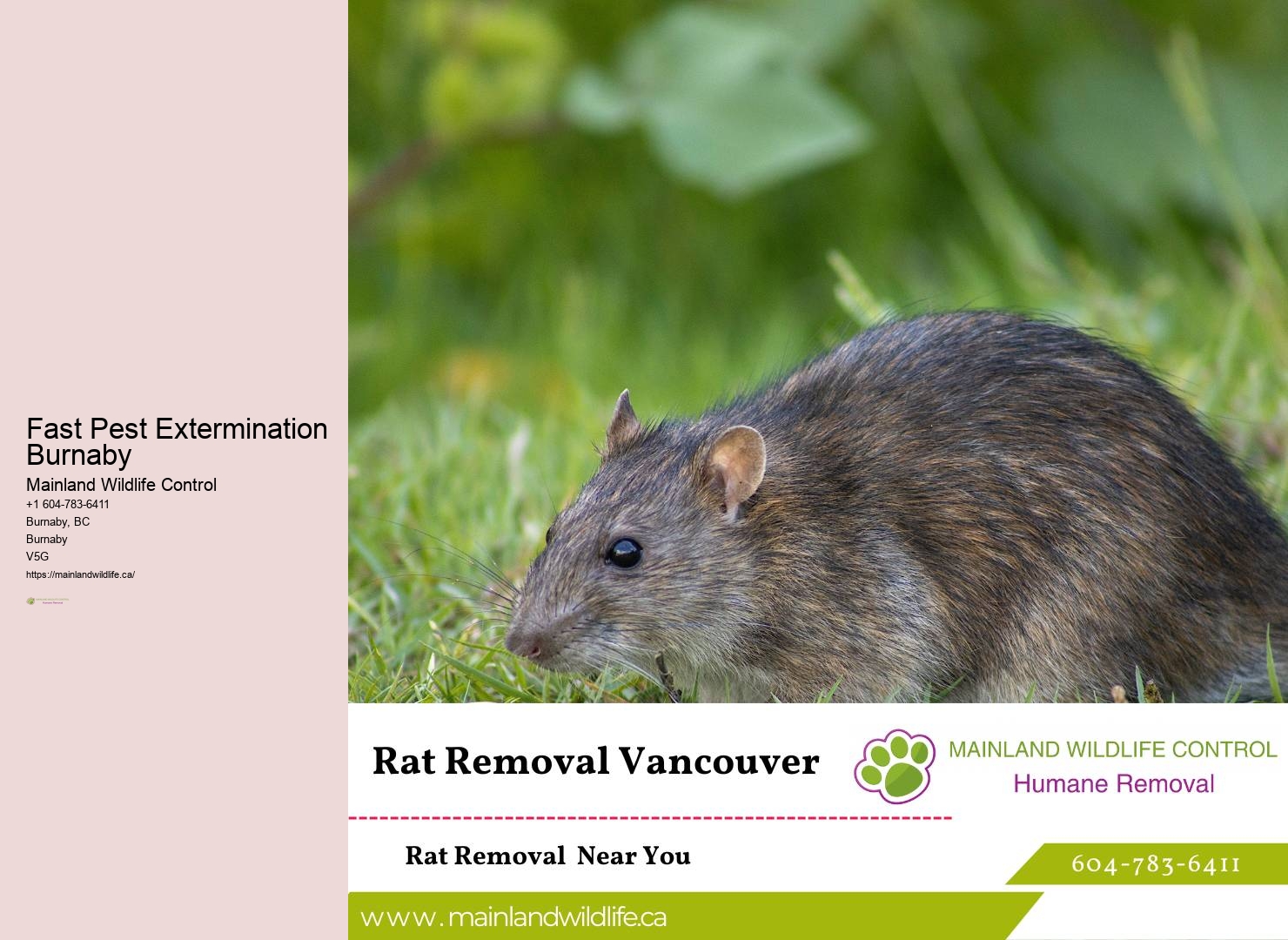 Tailored Pest Control Approaches Burnaby