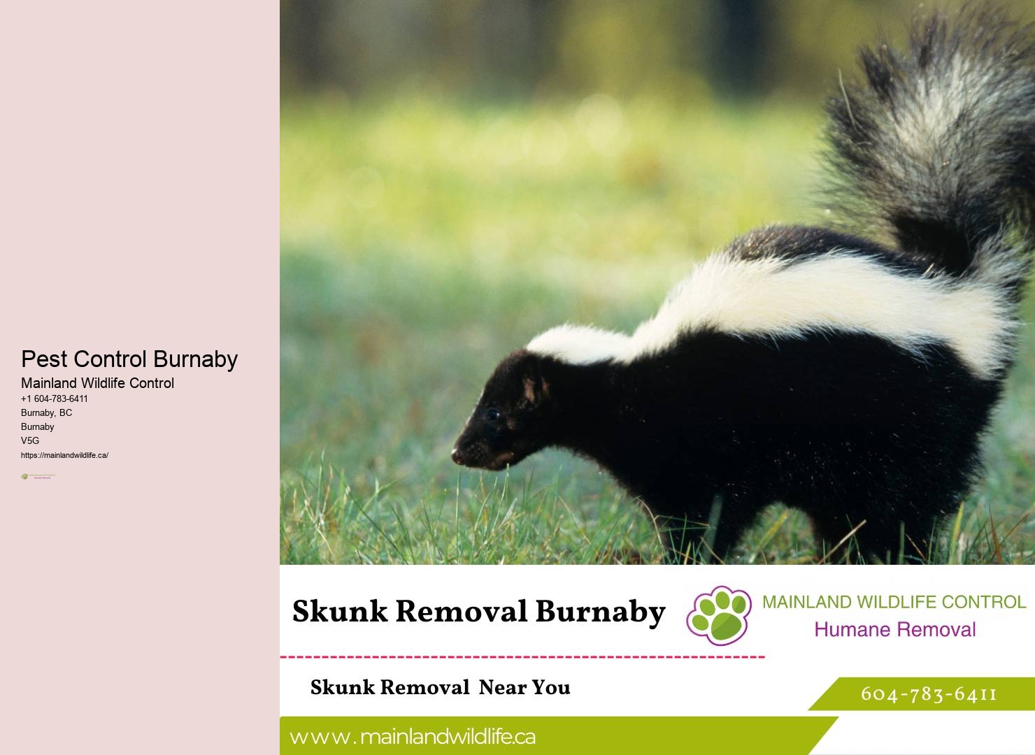 Quick Pest Extermination Burnaby Solutions