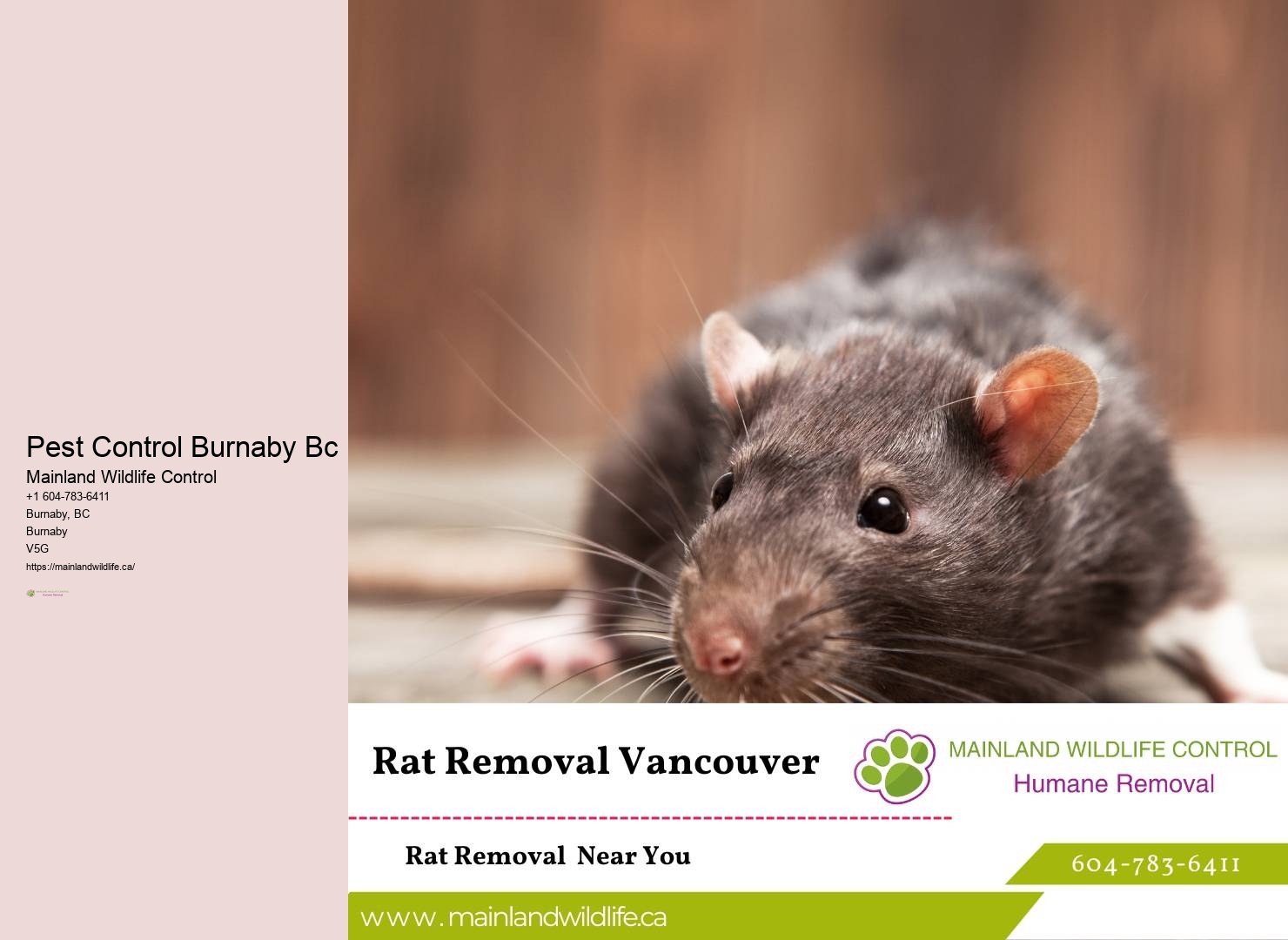 Insect Extermination Burnaby