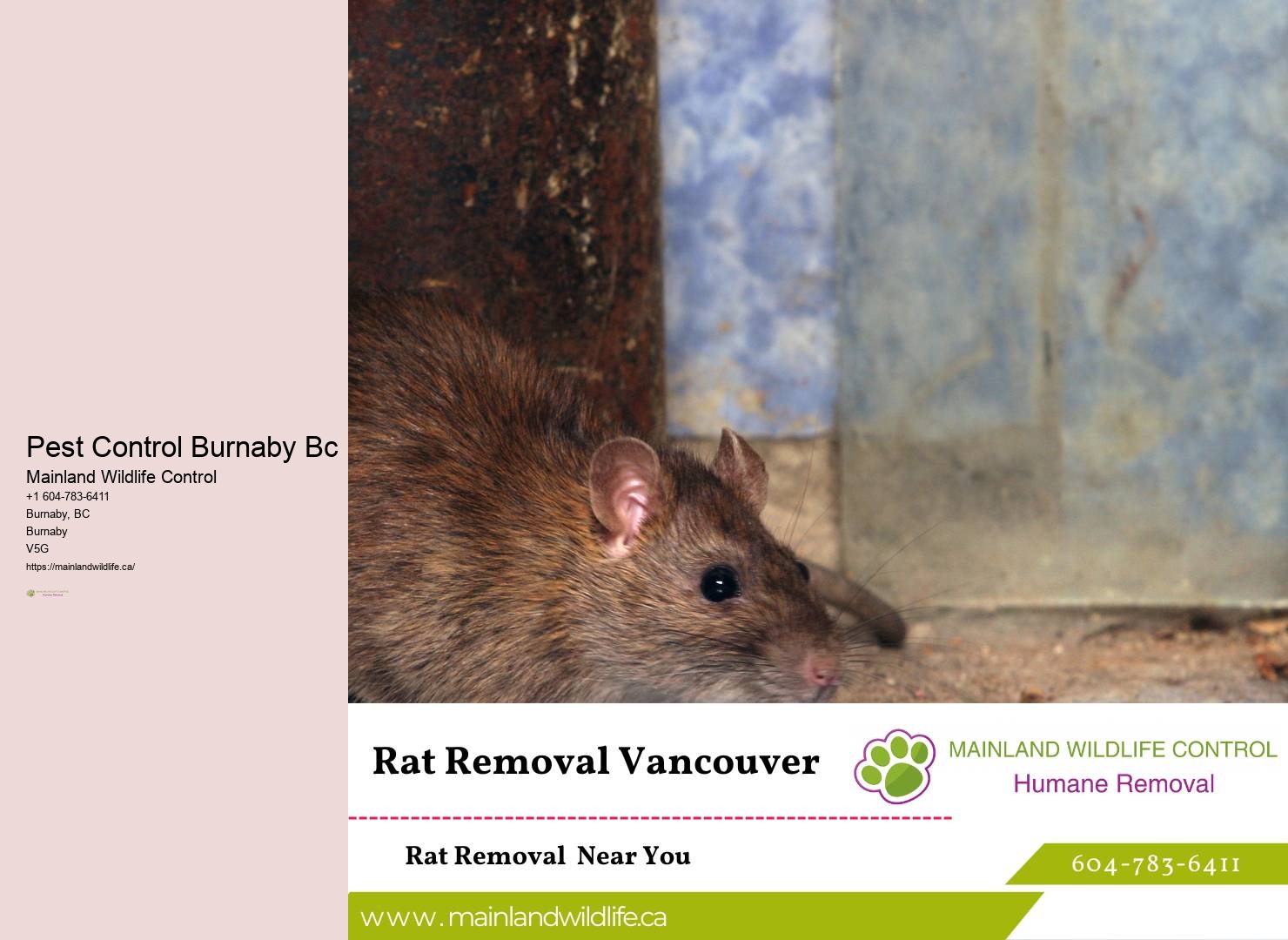 Pest Control Treatments Burnaby