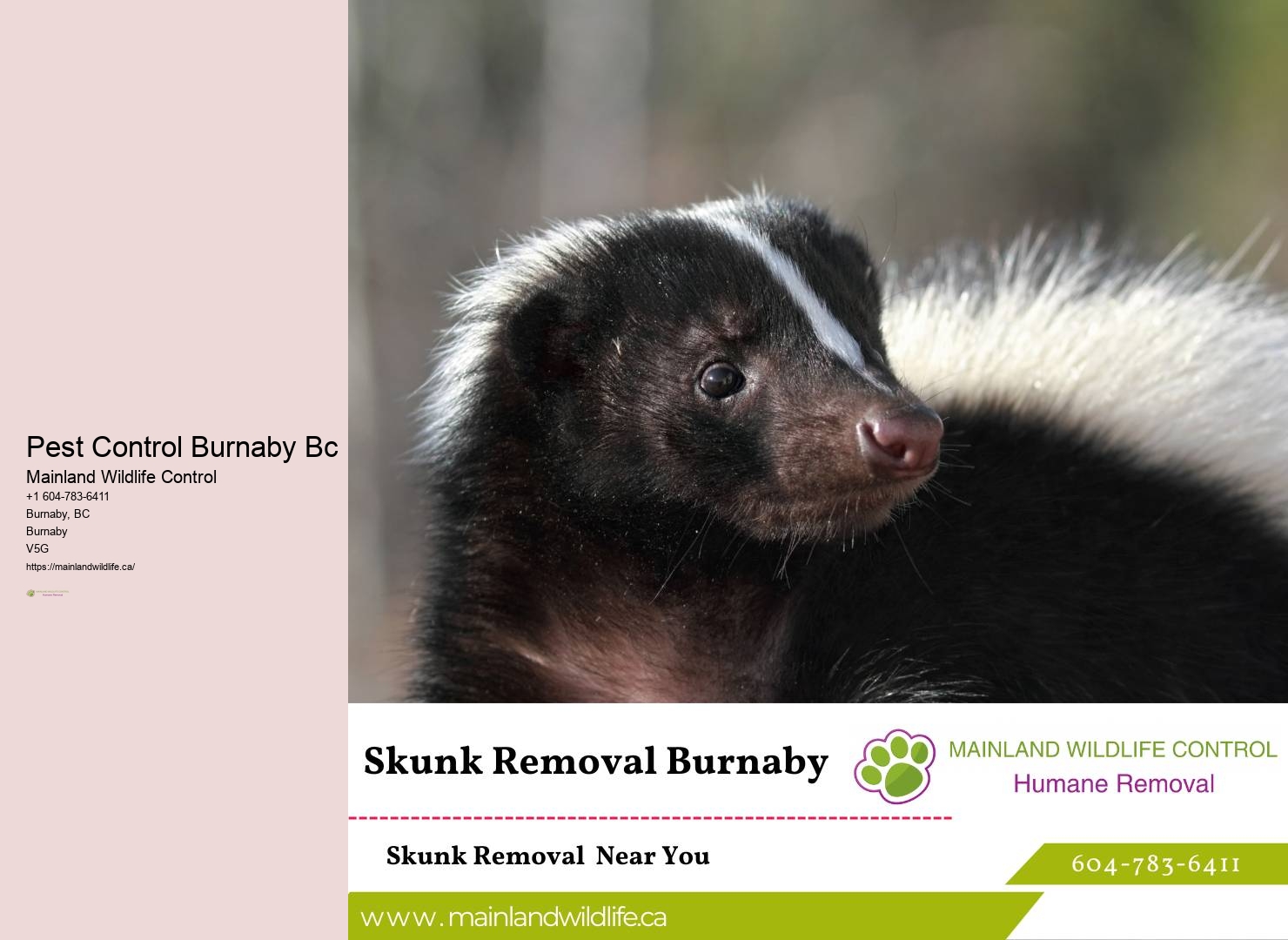 Affordable Commercial Pest Control Methods Burnaby