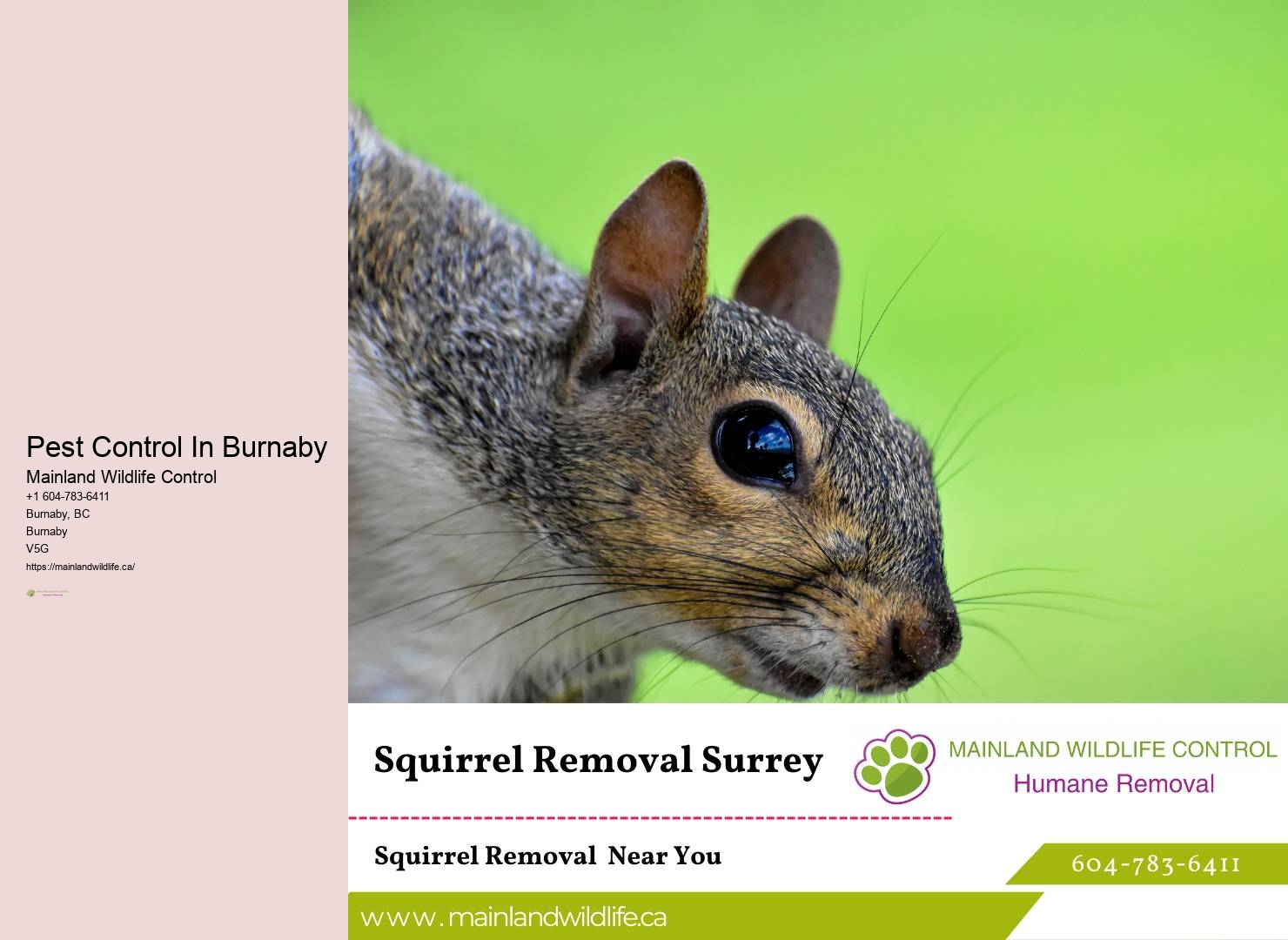 Sustainable Pest Control Burnaby
