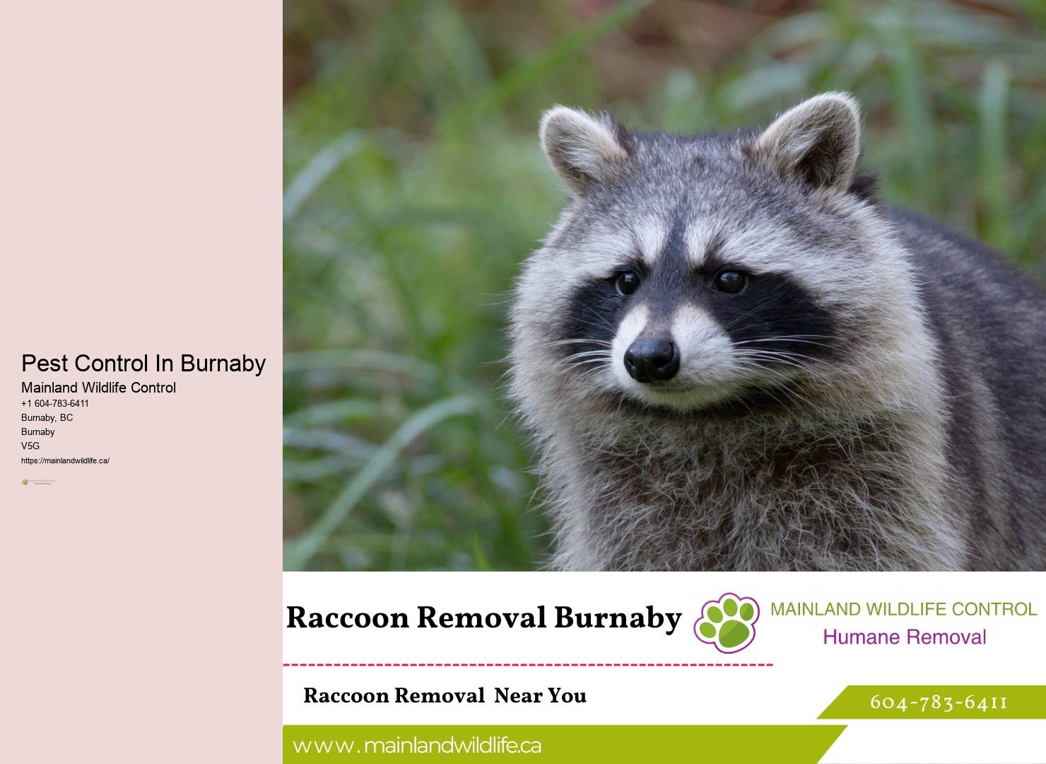Trusted Eco-friendly Pest Control Burnaby