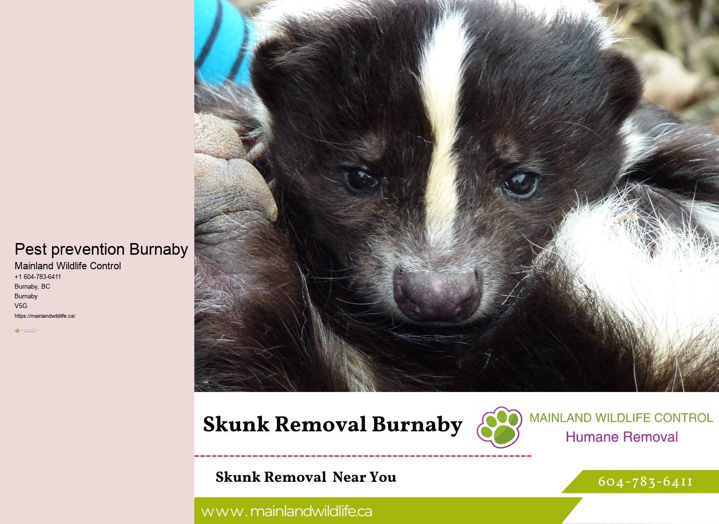 Superior Pest Control Services Burnaby