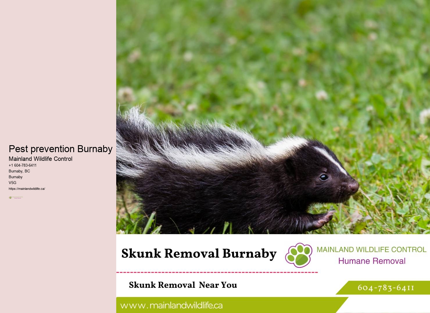 Reliable Pest Control Approaches Burnaby