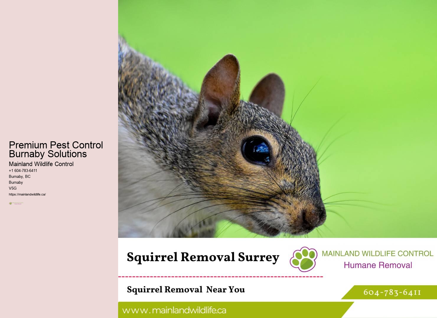 Certified Pest Control Burnaby