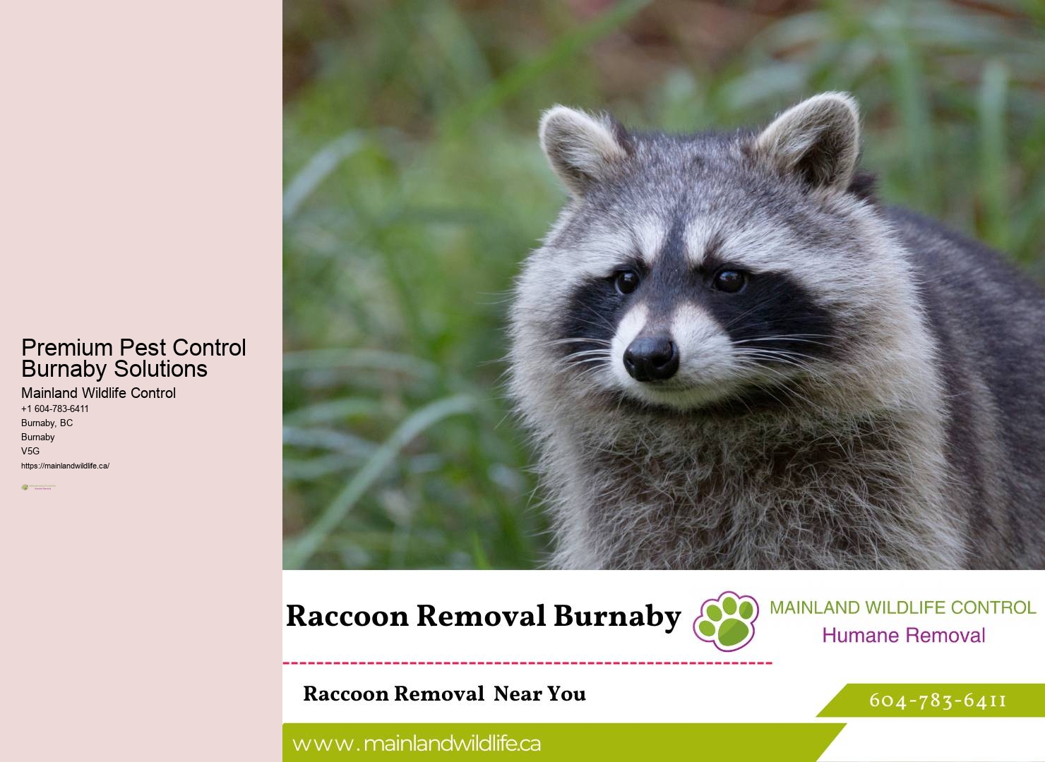 Advanced Pest Control Techniques Burnaby