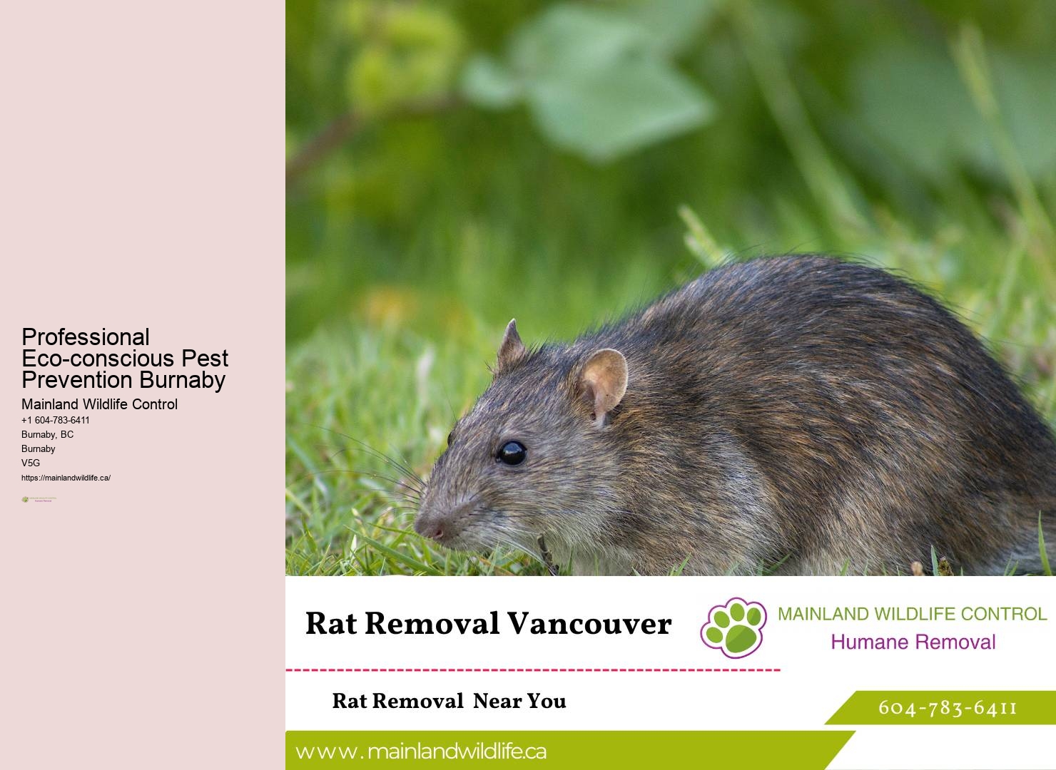 24/7 Pest Control Services Burnaby