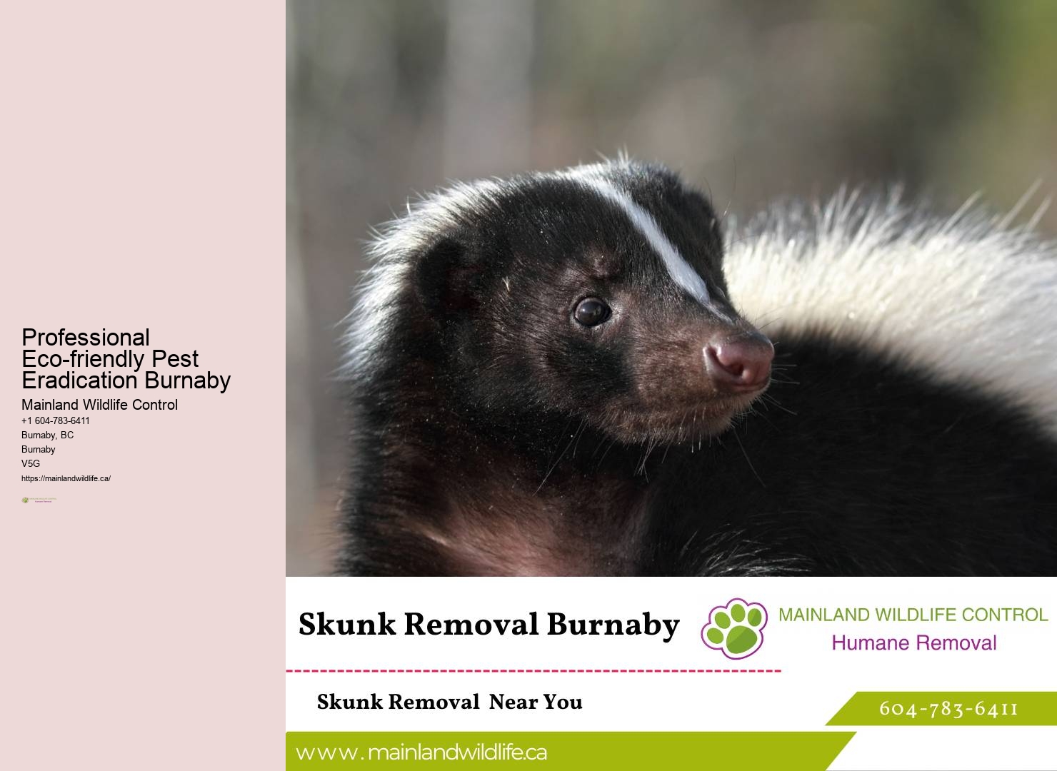 Comprehensive Residential Pest Control Burnaby