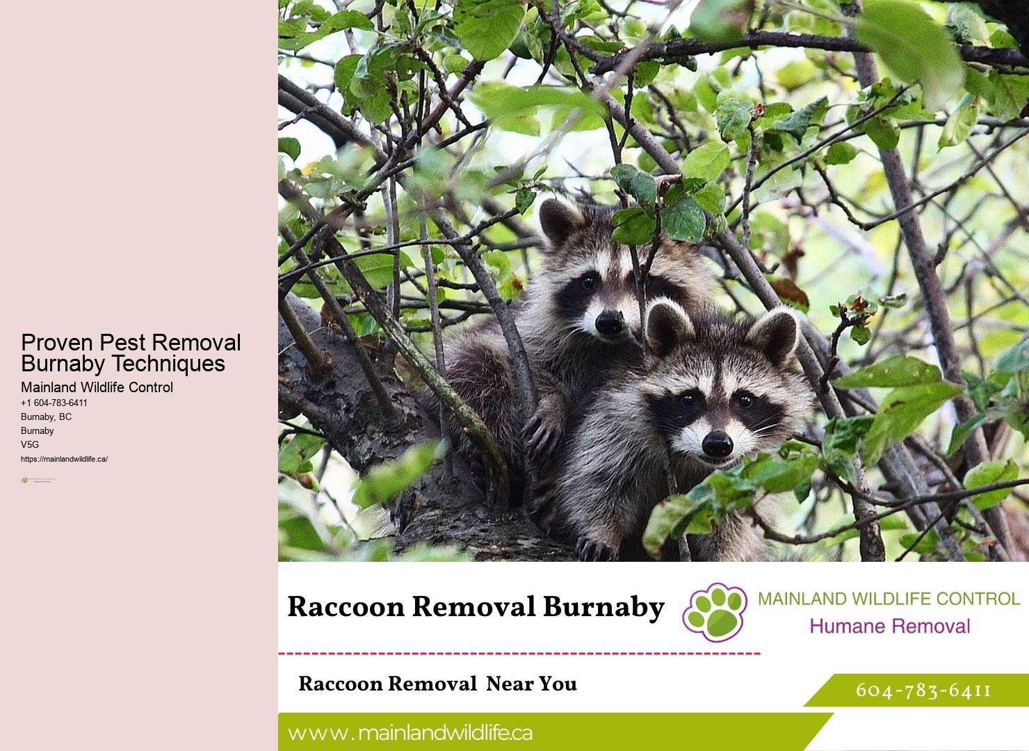 Advanced Pest Control Technology Burnaby