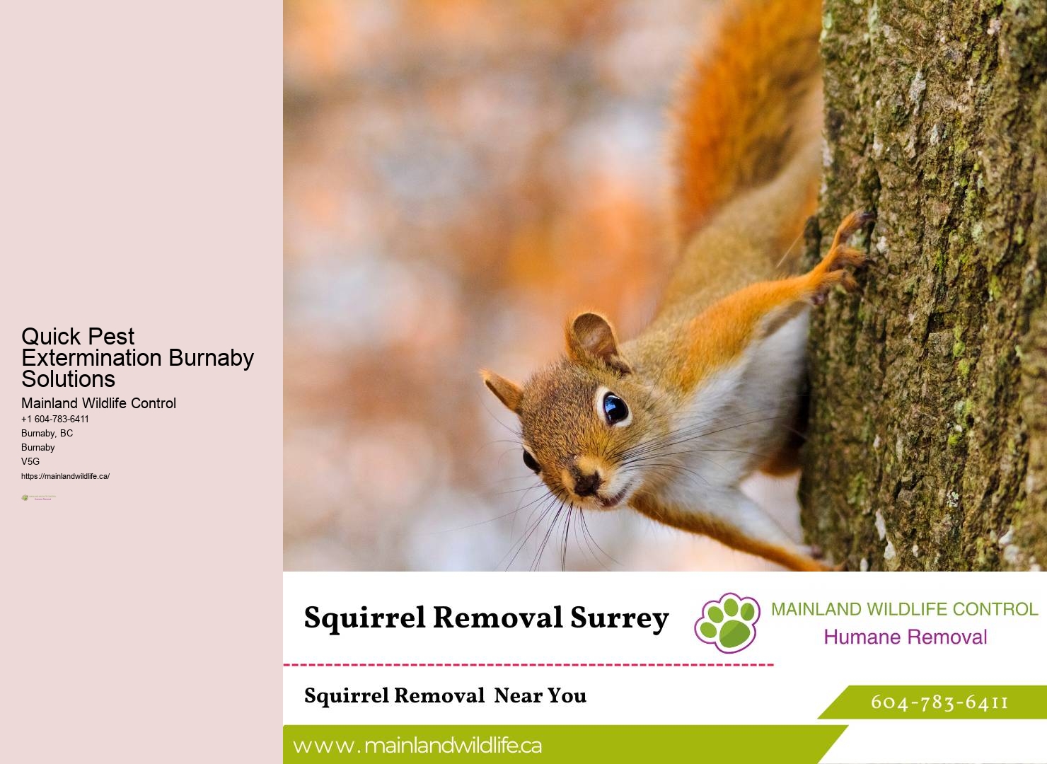 Reliable Commercial Pest Extermination Burnaby