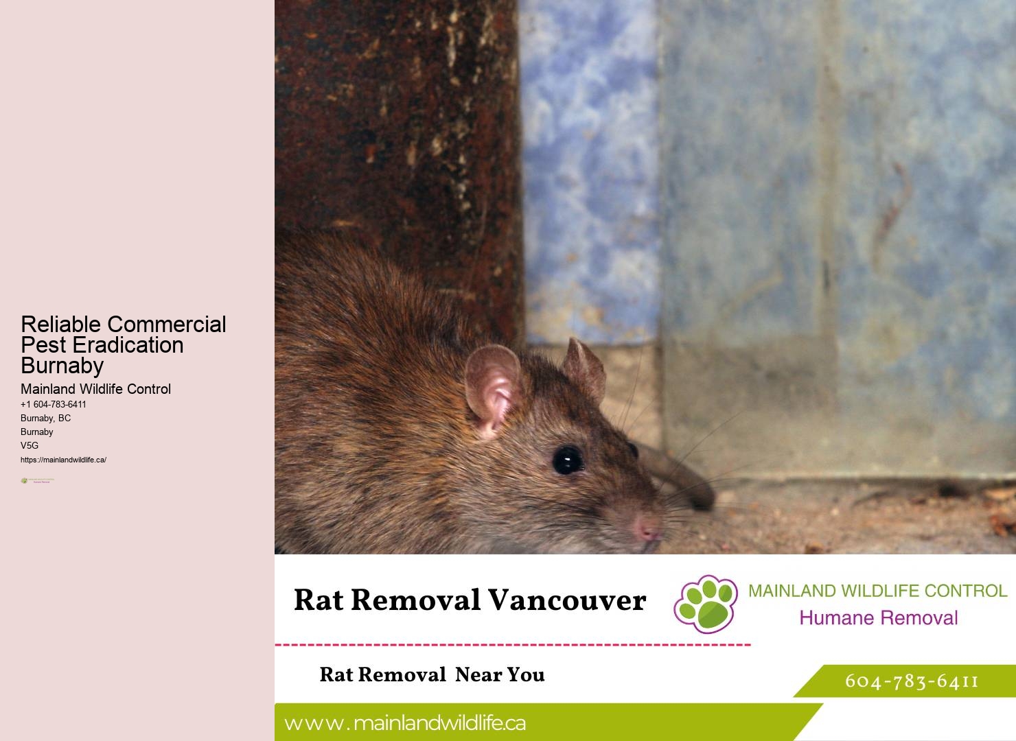 Proven Commercial Pest Prevention Burnaby
