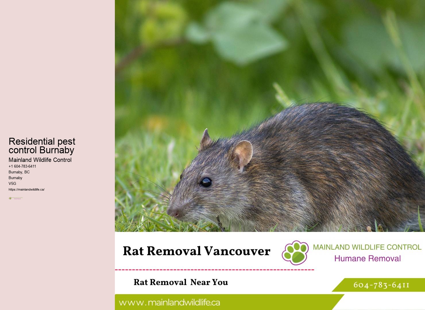 Proven Residential Pest Control Burnaby