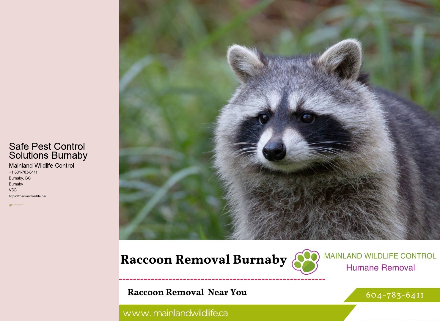 Targeted Pest Eradication Burnaby