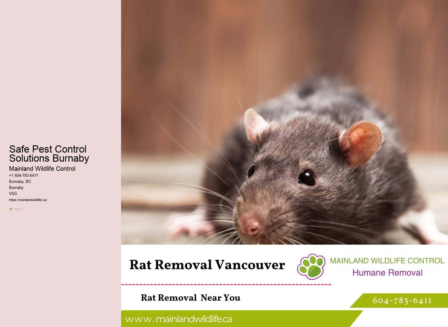 Burnaby pest removal