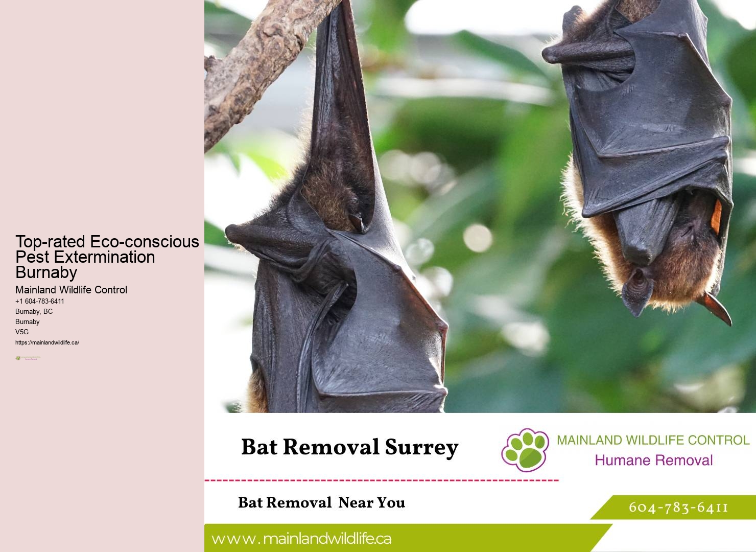State-of-the-art Pest Control Tools Burnaby