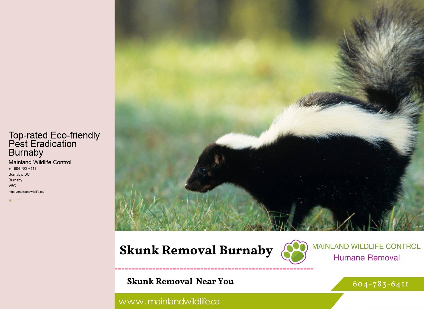 Pest Control Technicians Burnaby