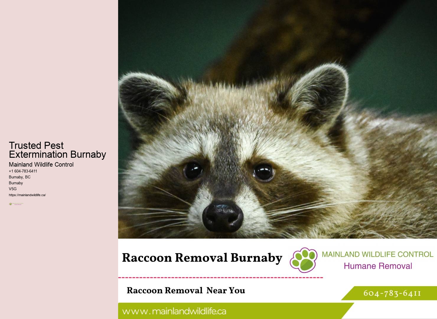 Skunk Pest Control Burnaby