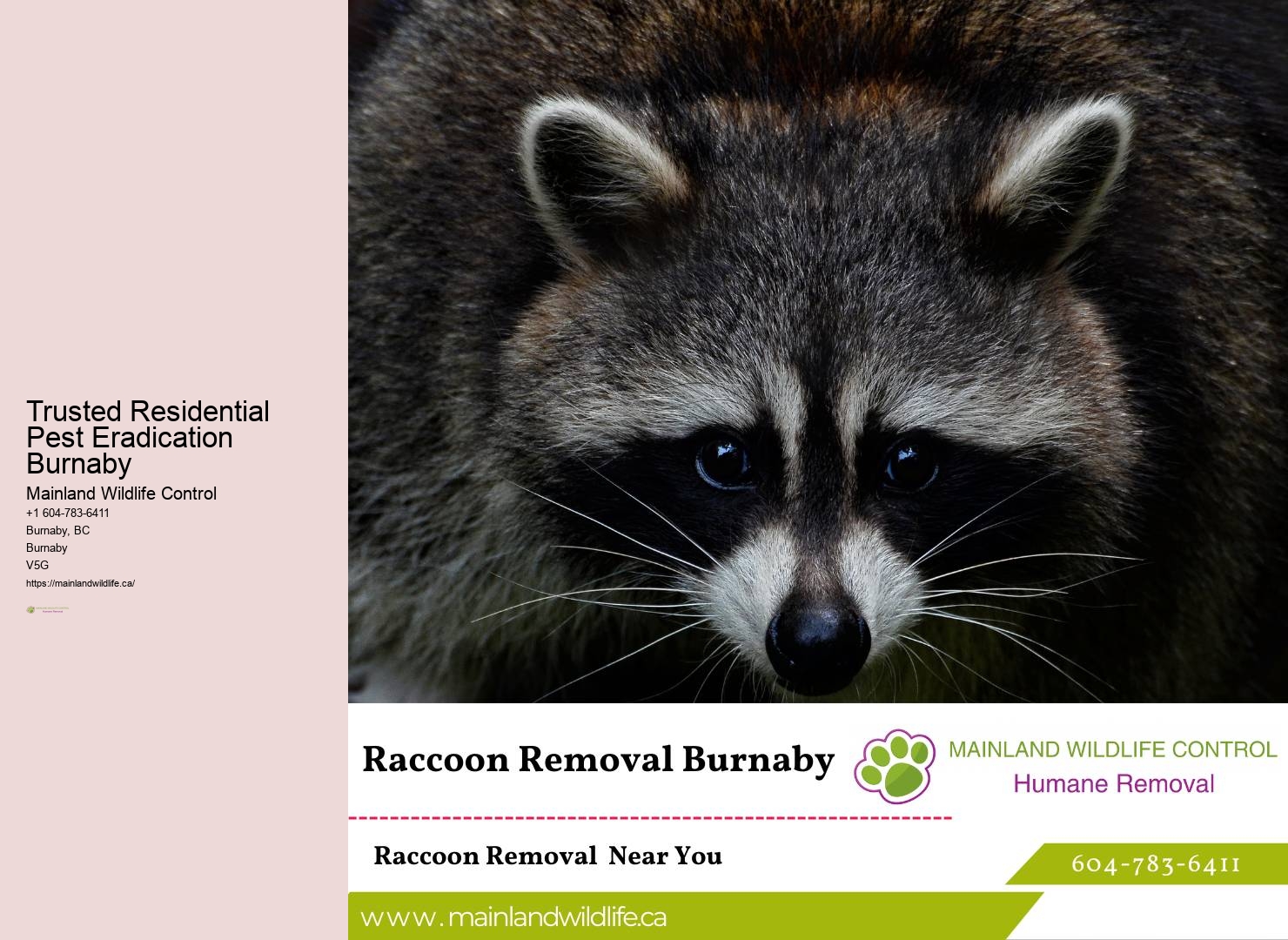 Trusted Residential Pest Eradication Burnaby